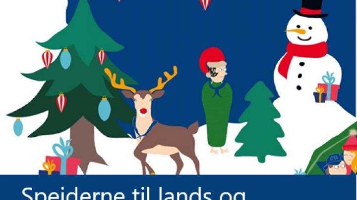 Juletræ salg begynder